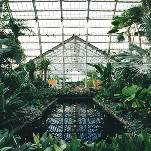 天天日天天干天天射
